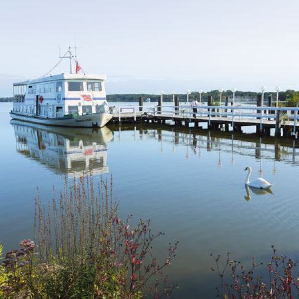 dampfer, bad zwischenahner meer, anleger, schwan, ruhiges wasser,