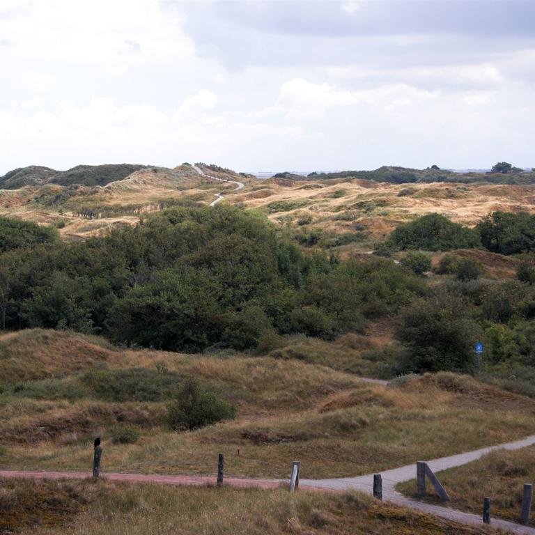 dünenlandschaft, baltrum, wanderweg, gras, heide, bewölkter himmel, natur, nordseeinsel, weite aussicht, ruhe