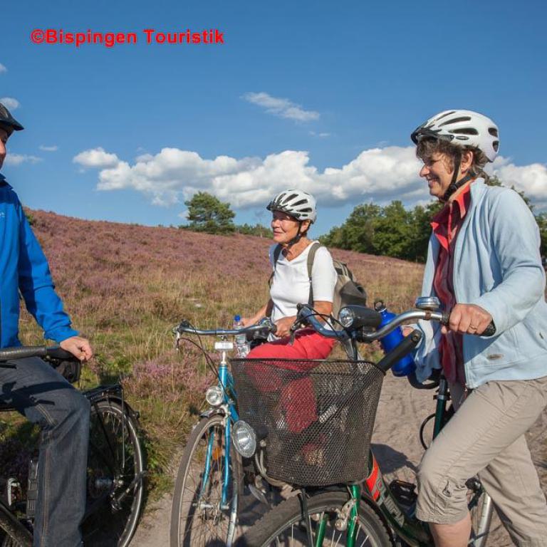 bispingen, radfahren, lüneburger heide, fahrradtour, natur, freizeit, heidelandschaft, senioren, outdoor, urlaub, sportlich