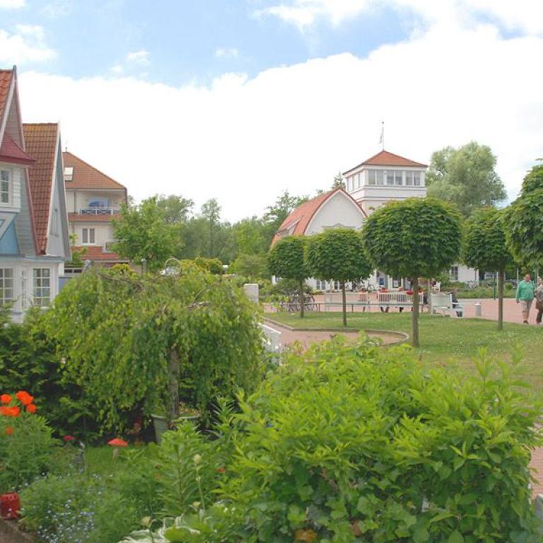 boltenhagen, promenade, kurpark, ostsee, bäume, kurhaus, spazierengehen, urlaubsort, rosen, gartenanlage, ostseebad
