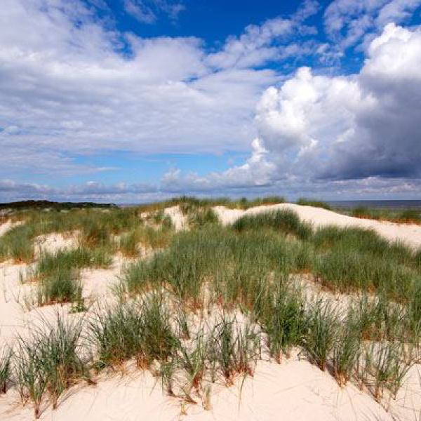 dünen, strand, nordsee, sand, meer, gras, natur, himmel, wolken, baltrum, küste
