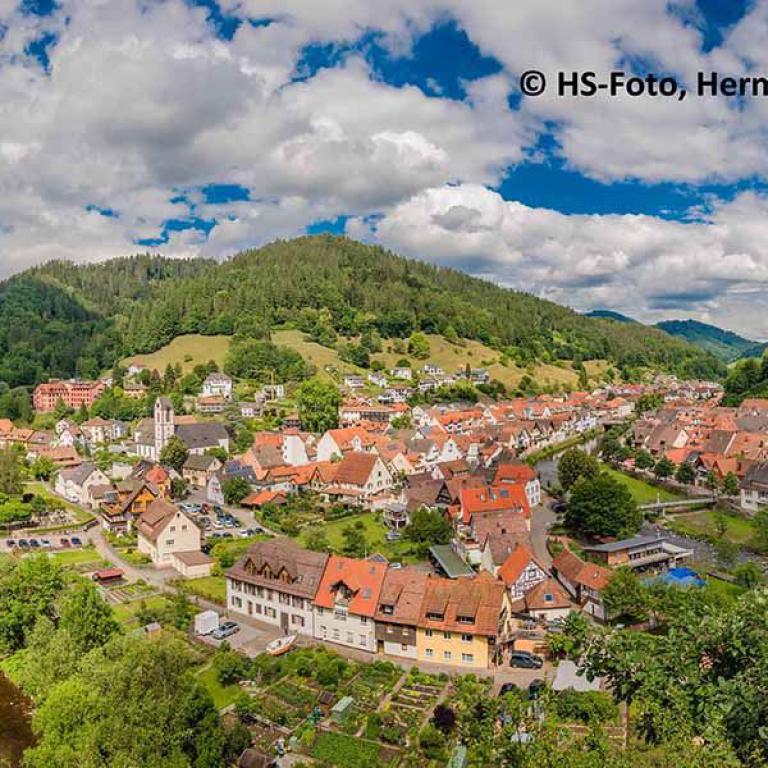 wolfach, schwarzwald, panorama, talblick, natur, berge, awo, seniorenreisen
