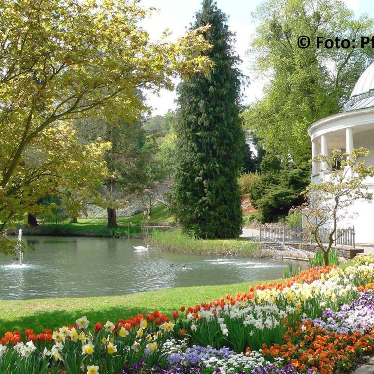 kurpark, bad wildungen, nordhessen, blumen, brunnen, parklandschaft, seniorenreisen, 