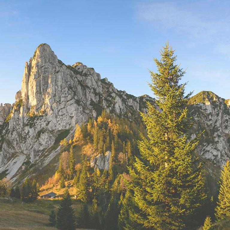 ruhpolding, hörndlwand, bayern, awo, seniorenreisen, alpen, berge, natur, urlaub