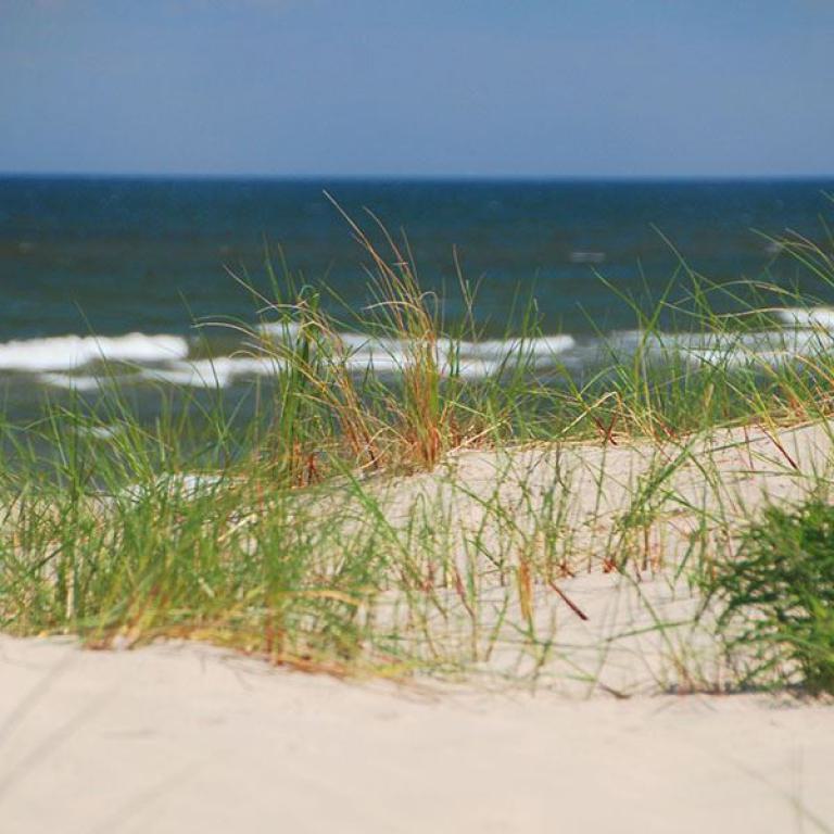 strand, meer, awo, seniorenreisen, küste, urlaub, erholung, ferien,