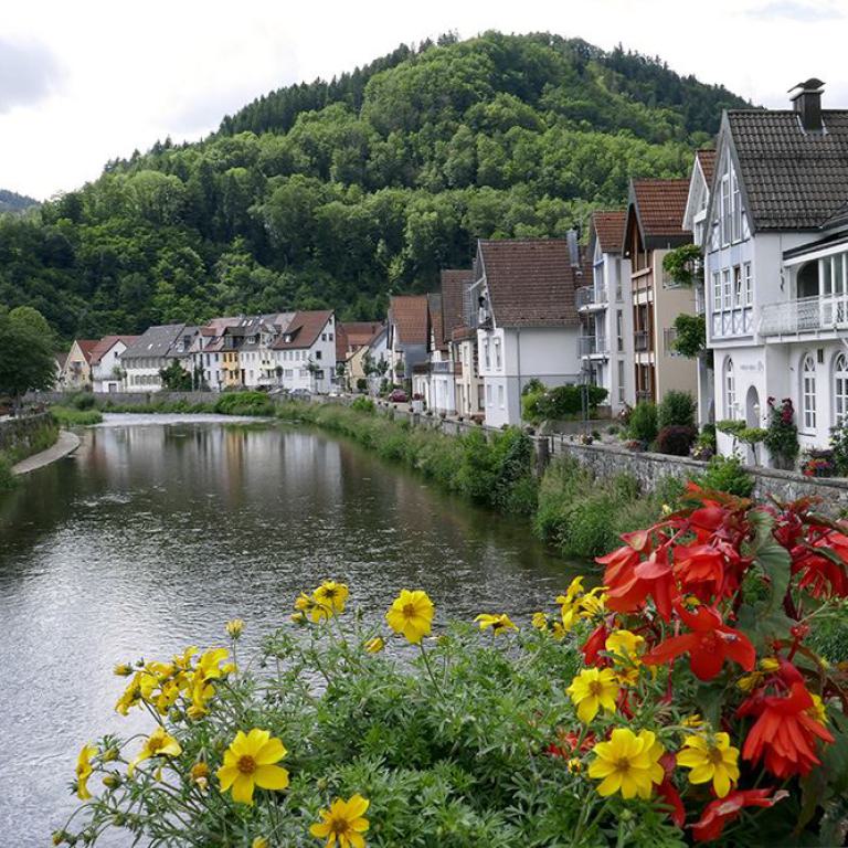 wolfach, schwarzwald, kinzigtal, stadtbild, historische innenstadt,